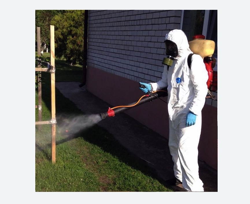 уничтожение клещей на участке травля клещей на участке в Новоржеве