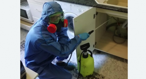 Уничтожение муравьев в квартире. Новоржев