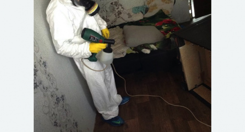 Обработка квартир от насекомых в Новоржеве