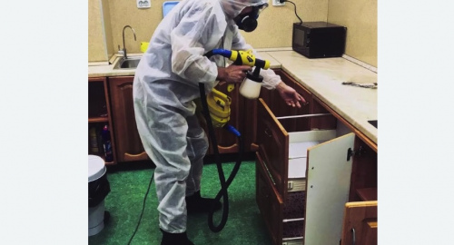 Дезинсекция квартиры. Новоржев