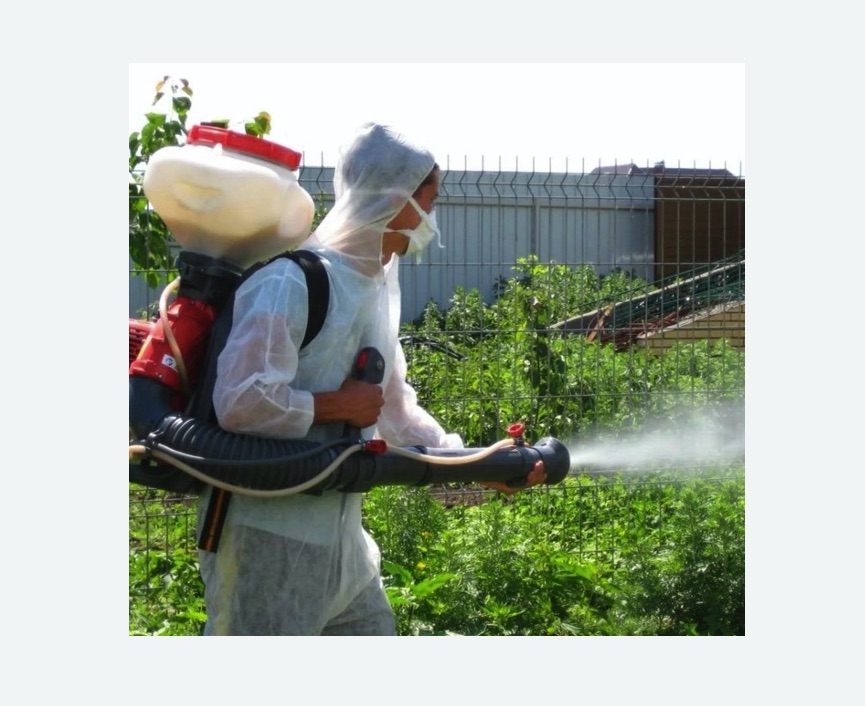 Акарицидная обработка территории в Новоржеве