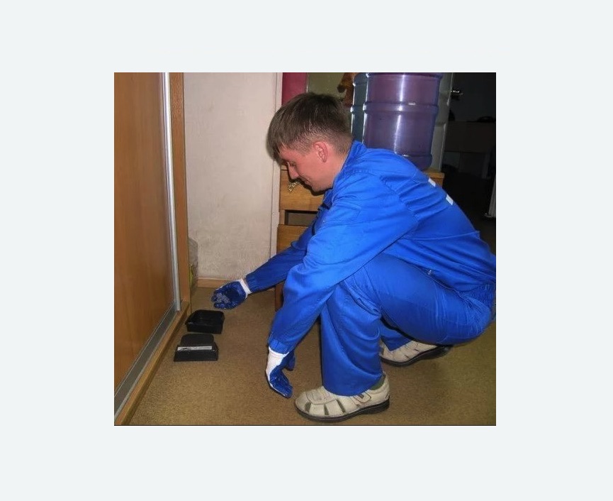 Дератизация крыс в Новоржеве