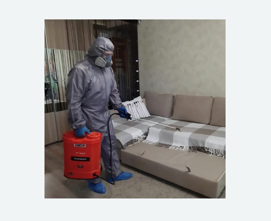 Обработка квартиры от блох в Новоржеве Обработка квартиры от блох