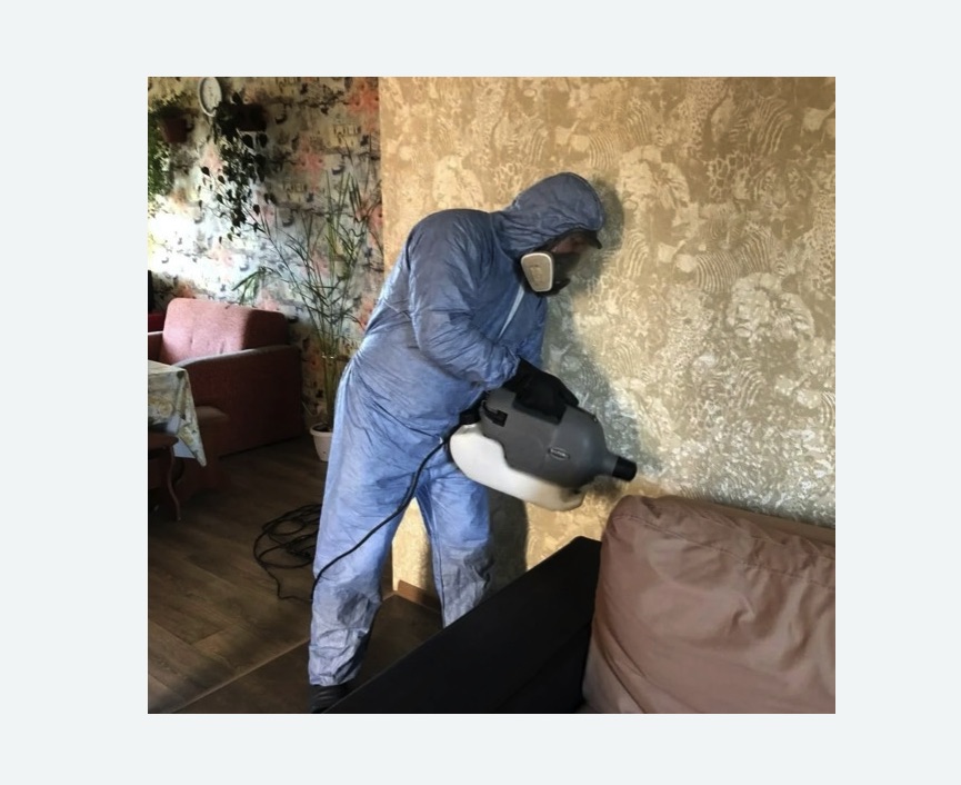 Уничтожение блох в квартире. Новоржев Уничтожение блох в квартире