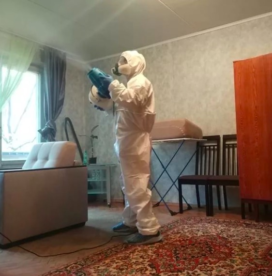 дезинсекция квартиры туманом дезинсекция квартиры в Новоржеве