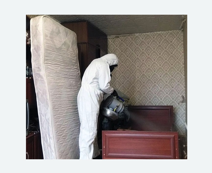 дезинфекция от клопов дезинфекция от клопов в Новоржеве