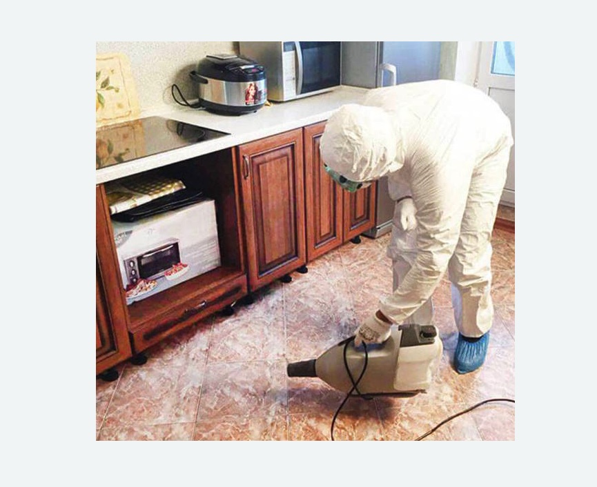 обработка квартиры от клопов в Новоржеве обработка квартиры от клопов