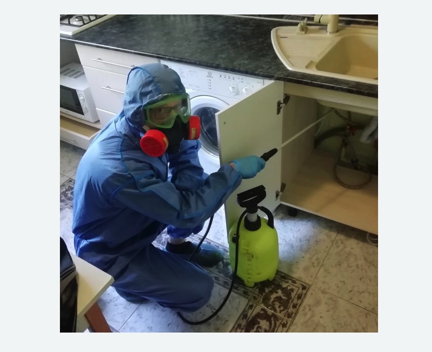 обработка от муравьев в квартире обработка от муравьев в квартире в Новоржеве