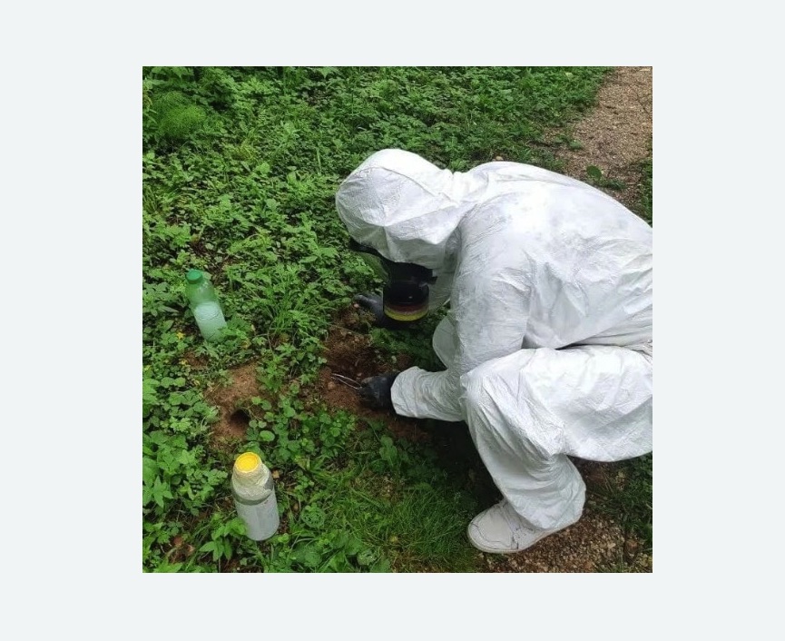 уничтожение кротов на участке уничтожение кротов на участке в Новоржеве