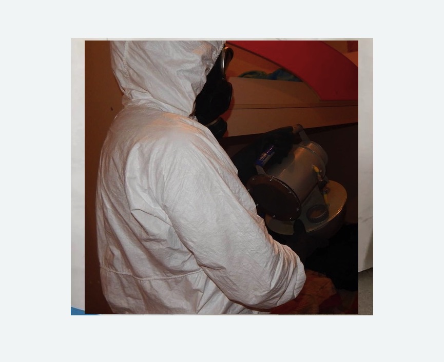 Дезинфекция от муравьев Дезинфекция от муравьев в Новоржеве