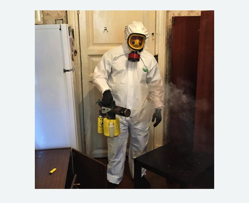 уничтожение муравьев в квартире уничтожение муравьев в квартире в Новоржеве